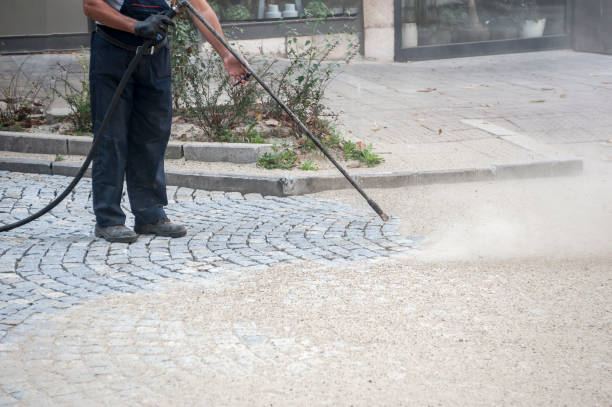 Best Parking Lot and Garage Cleaning  in Vienna, GA