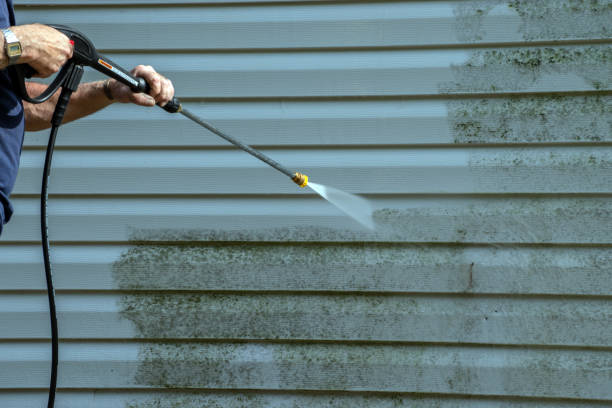 Best Gutter Cleaning  in Vienna, GA